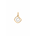 Dije Cuadrado Bicolor Oro 14k con Circonios