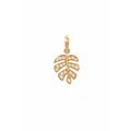 Dije Hoja de Monstera Oro 14k con Diamantes Naturales