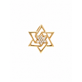 Dije Estrella de David 3D Oro 14k con Circonios