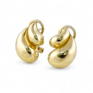 Double Drops Design Earring