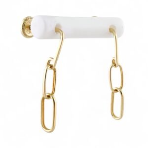 Linked Fancy Earrings