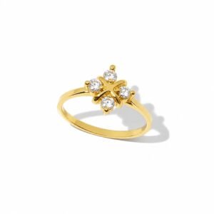 Anillo 10k