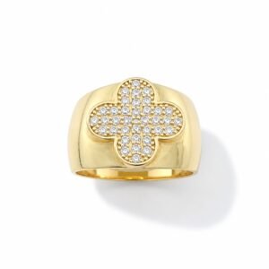 Anillo 10k