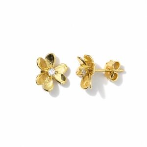 Aretes 10k