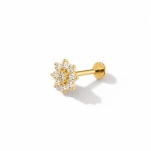 Arete o piercing de cartílago