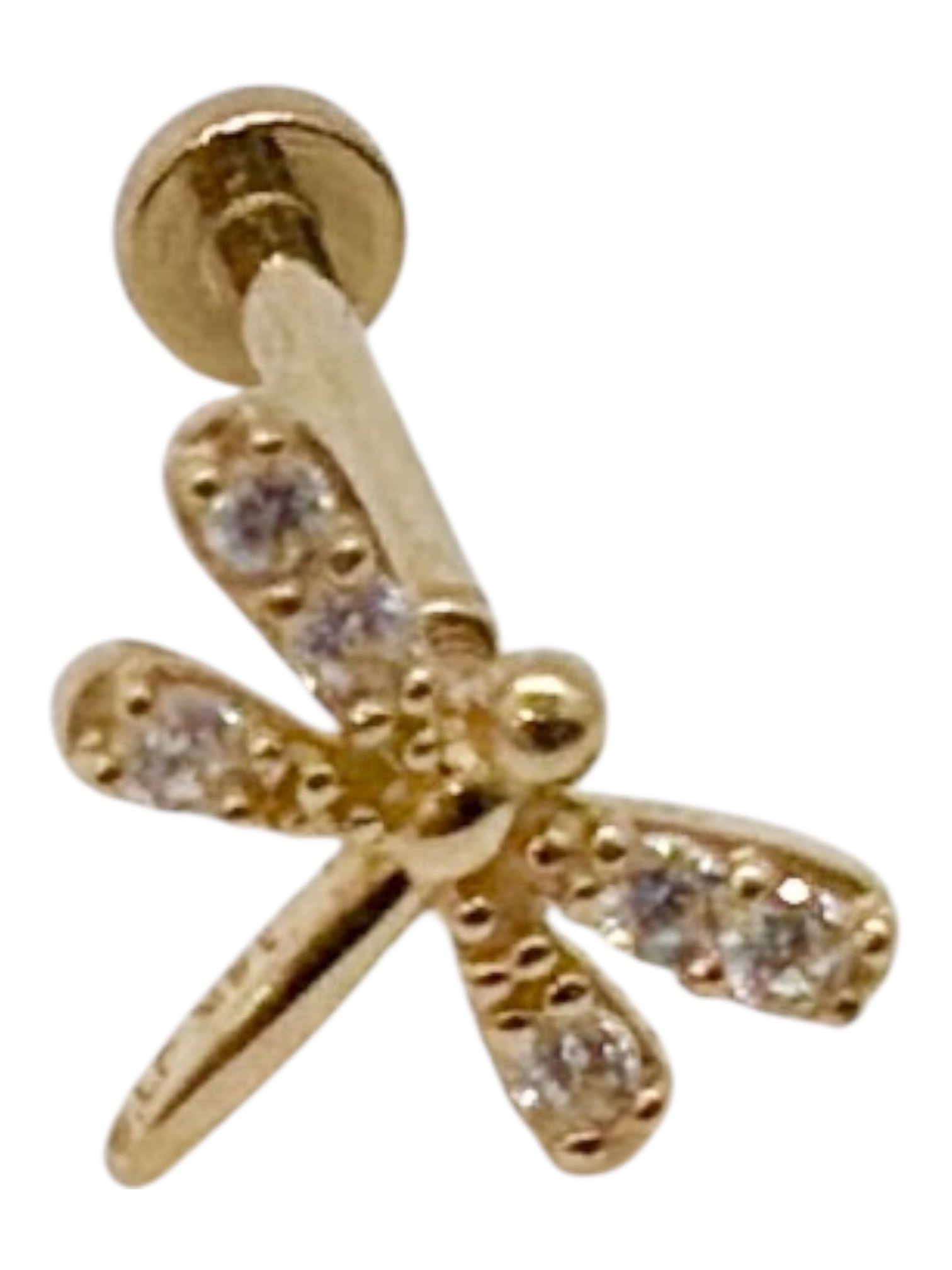 Artes o piercing de cartílago - Imagen 2